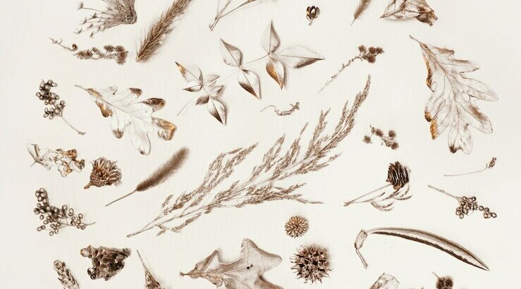 История вопроса 