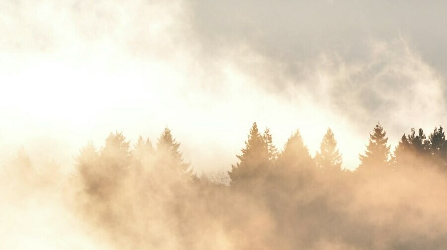 Теории гипноза